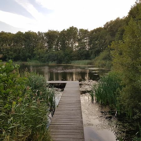 Onder De Beukenboom Appartement Nieuwe Pekela Buitenkant foto