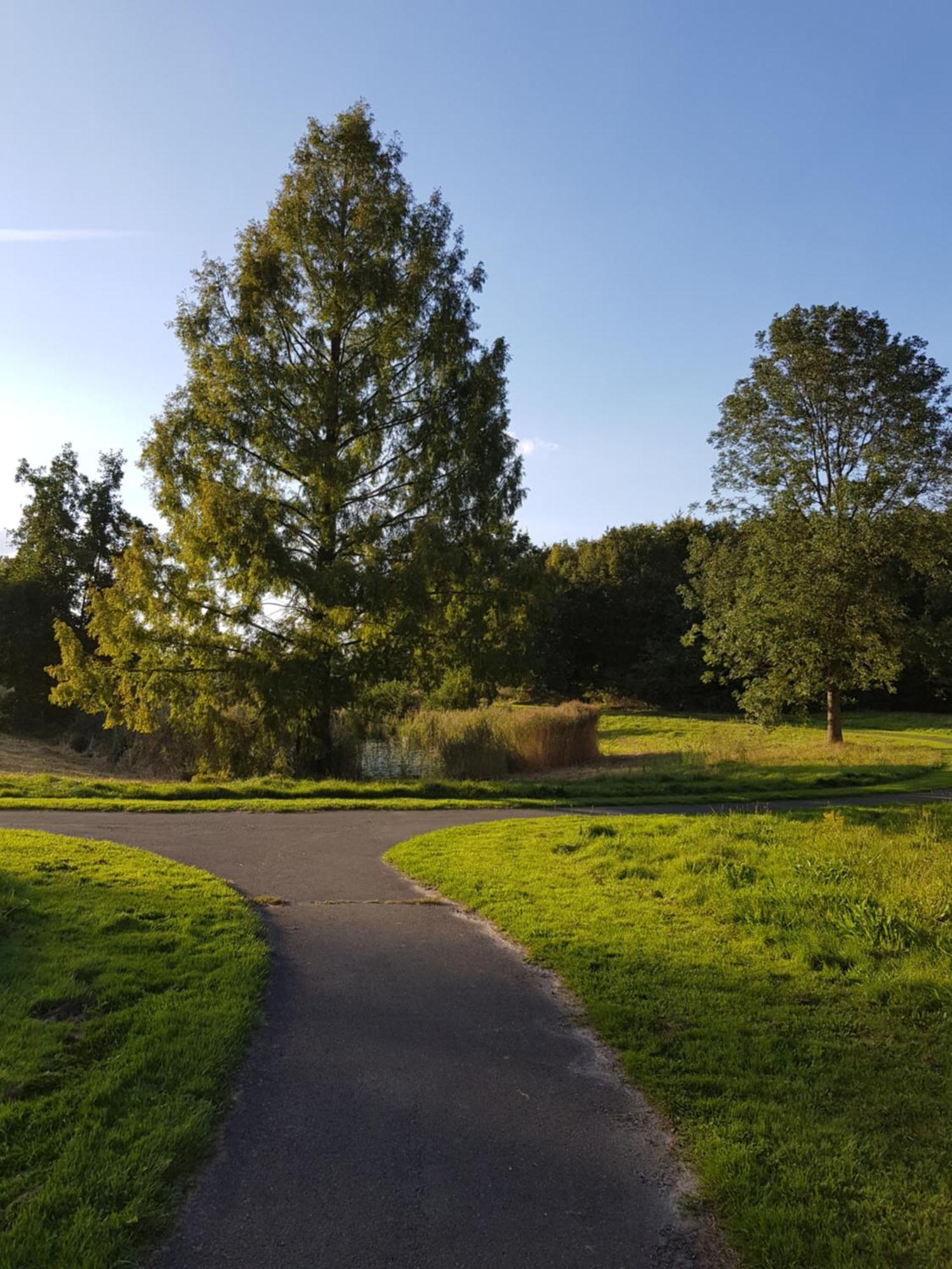 Onder De Beukenboom Appartement Nieuwe Pekela Buitenkant foto