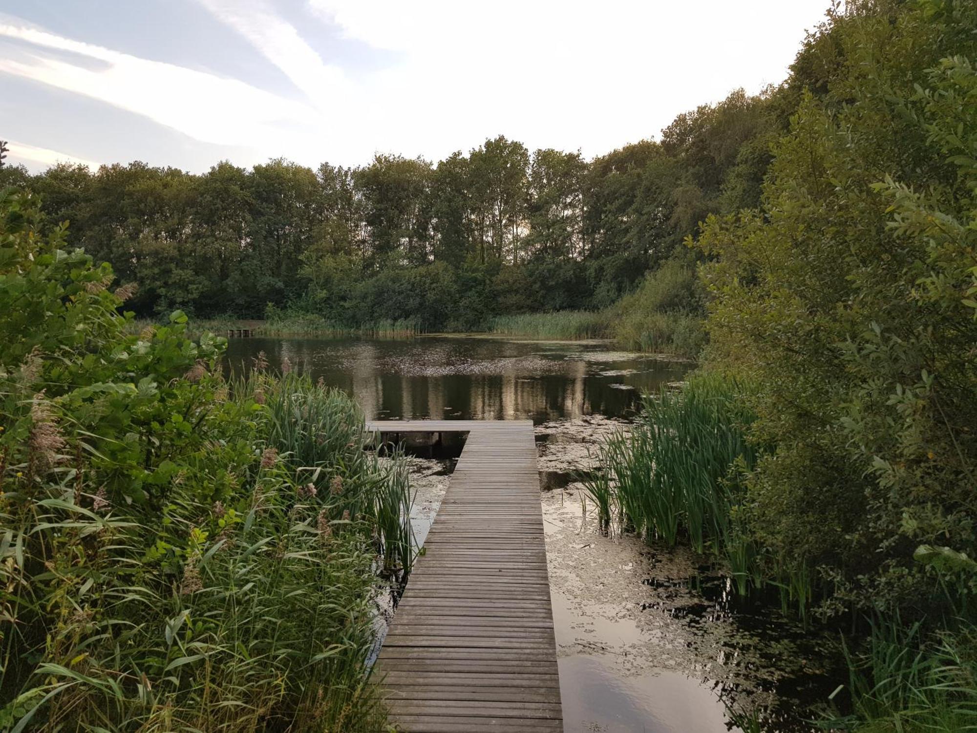 Onder De Beukenboom Appartement Nieuwe Pekela Buitenkant foto