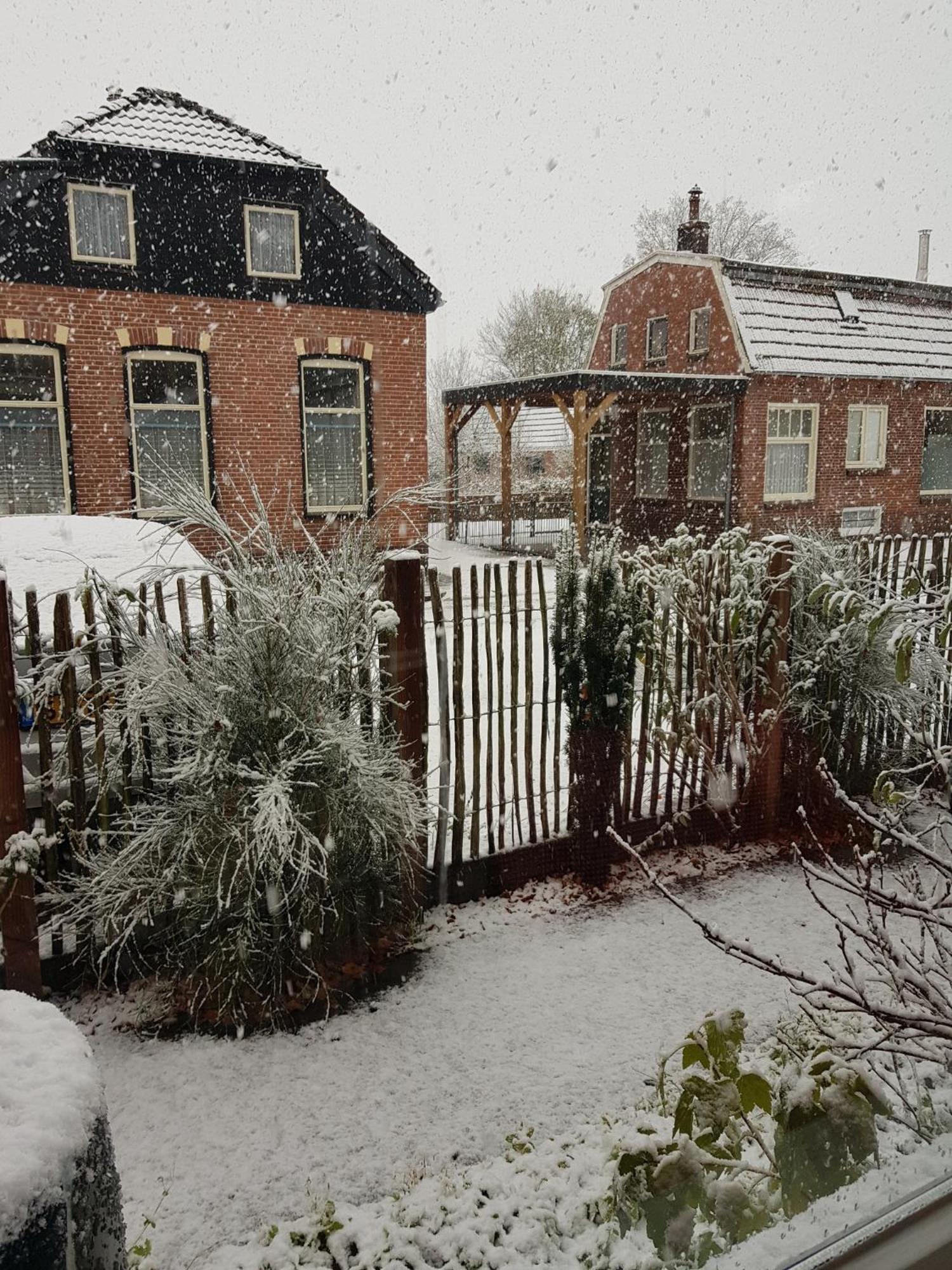 Onder De Beukenboom Appartement Nieuwe Pekela Buitenkant foto